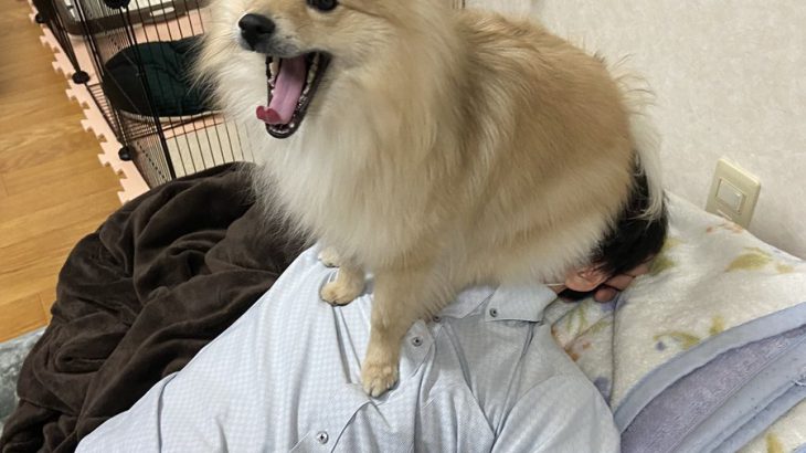 Twitterで話題のツイート・おもしろ画像ツイートまとめ