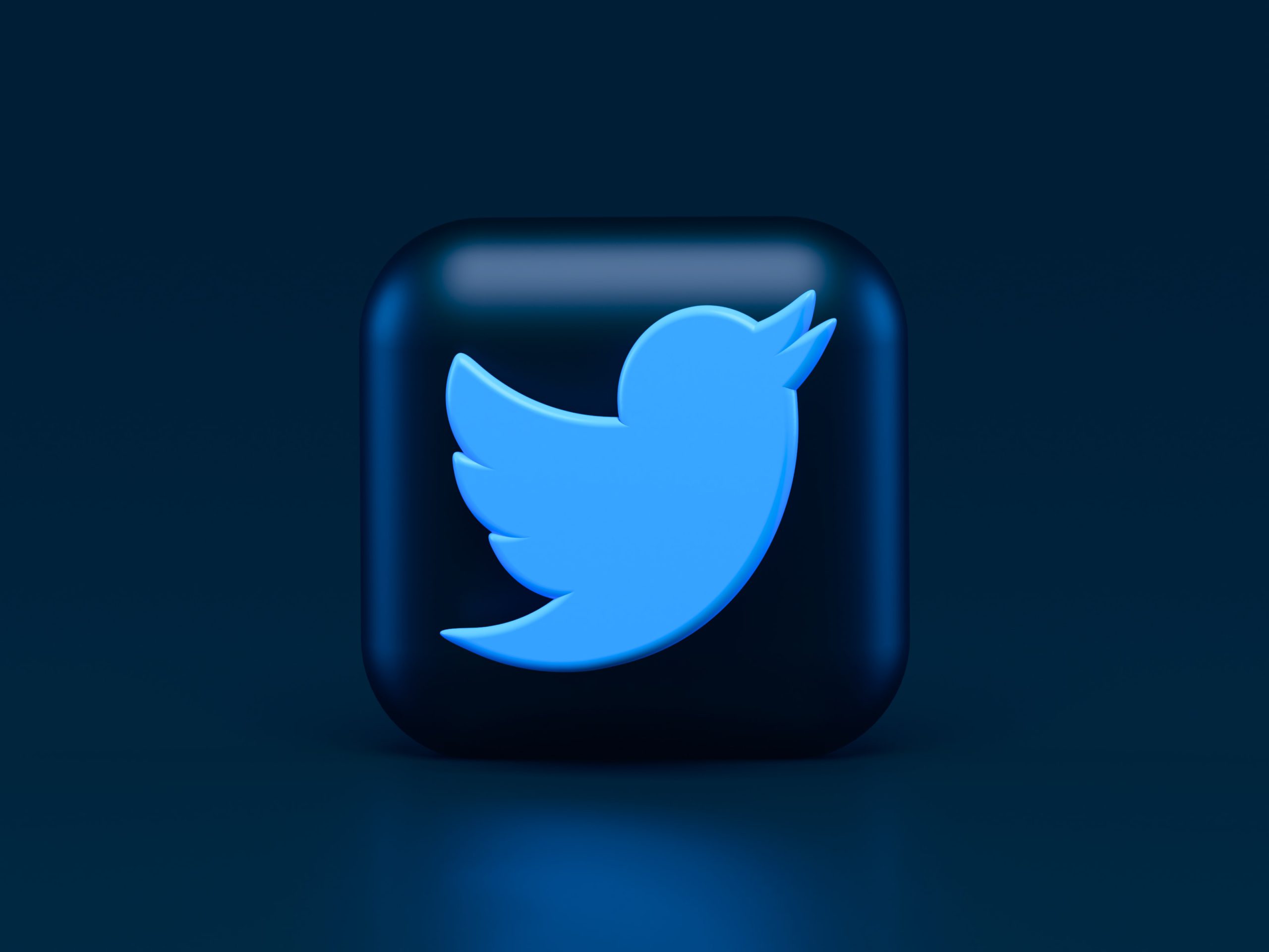 ツイッター  気候変動に関する誤報が飛び交う。マスク氏 Twitter買収後  さらに激化