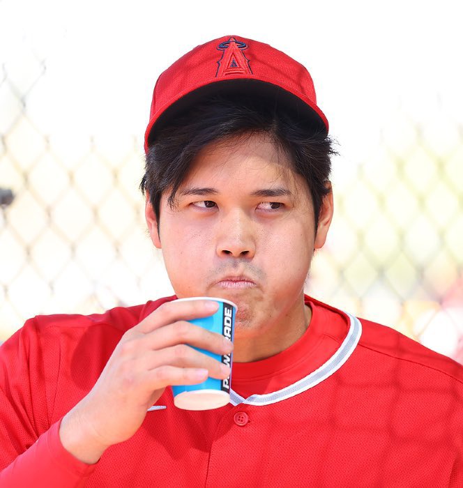 驚異の食事管理！大谷翔平選手1日に卵を16個も食べる？