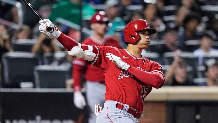 【大谷翔平、屈辱の無安打　エンゼルス連勝ストップ】